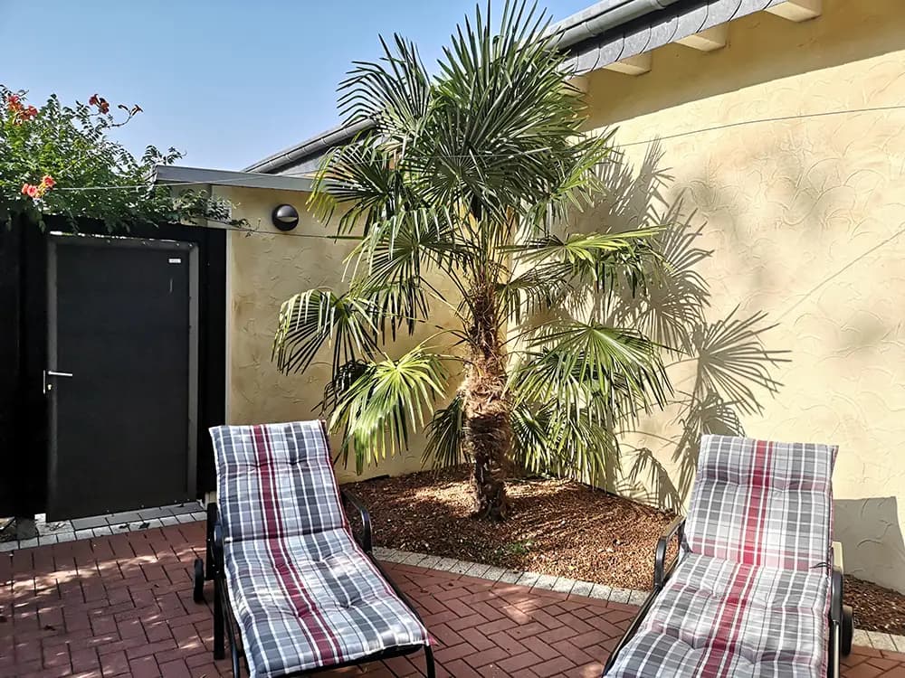 Finnische Sauna von innen